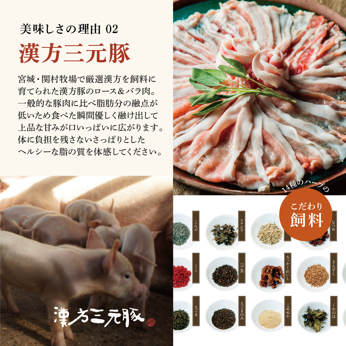 Bouillon Soy Milk Hot Pot Set