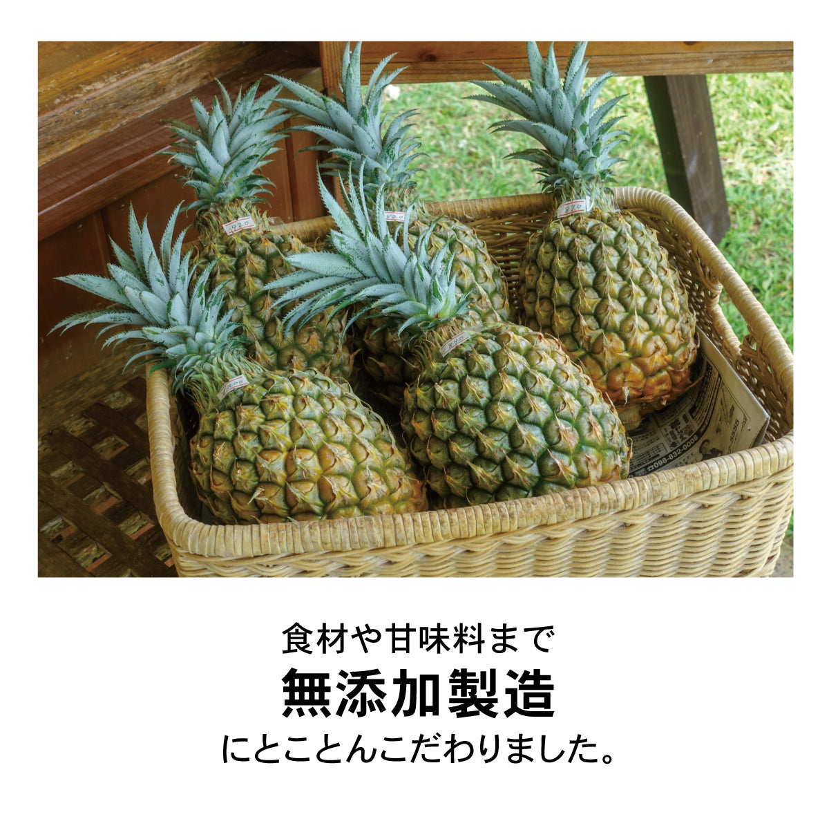 沖縄パイン×バジル【6個】無添加ジェラート