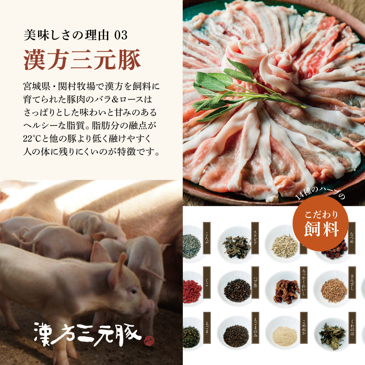 薬膳ブイヨンキノコ鍋