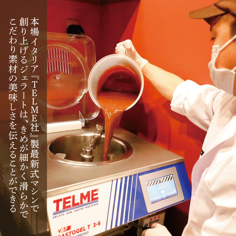 【沖縄限定配送】コーヒー＆やんばる黒糖＆グラッパ 6個｜CROSS 47プロデュースの無添加ジェラート