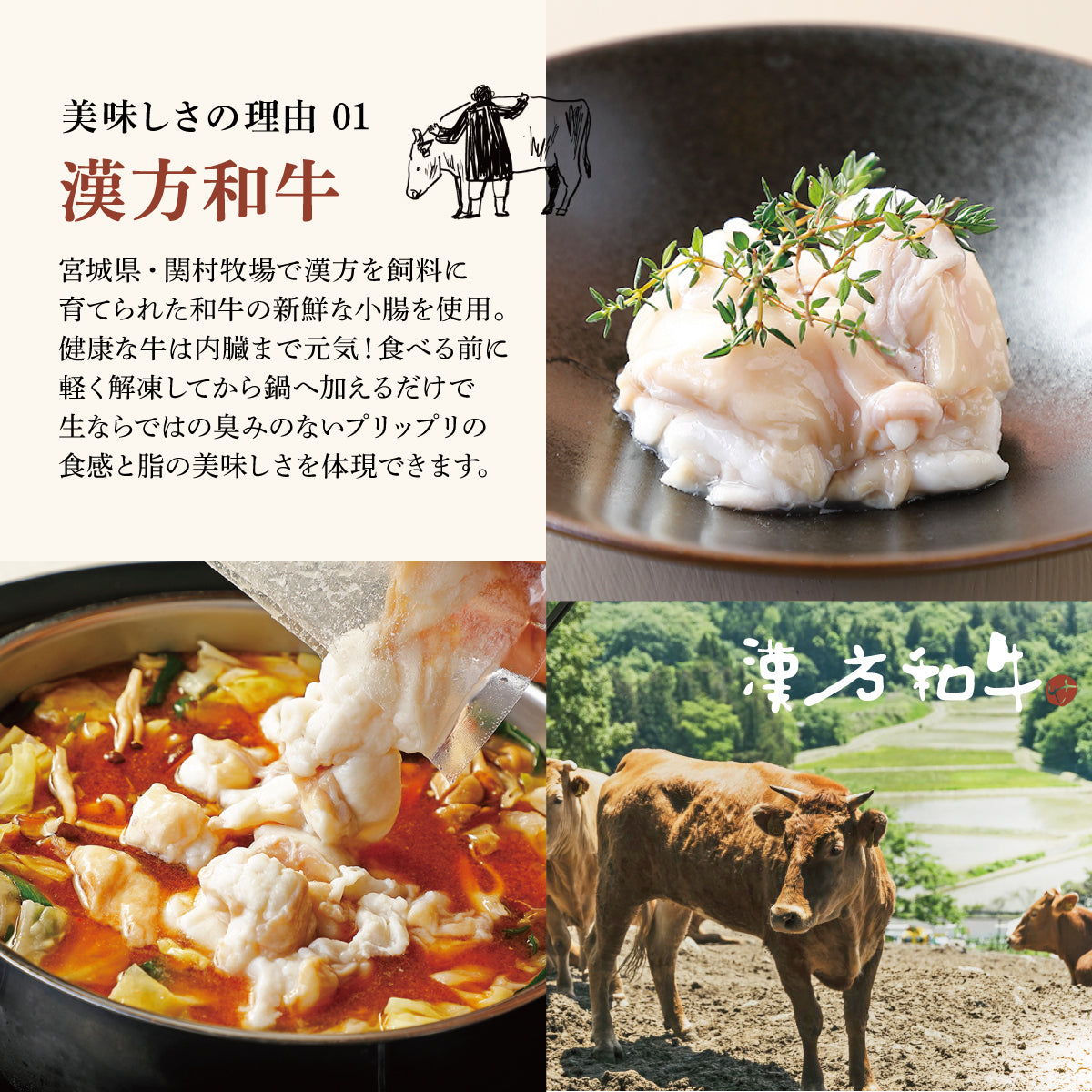 漢方和牛の生もつ鍋