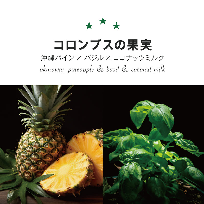 沖縄パイン×バジル【6個】無添加ジェラート