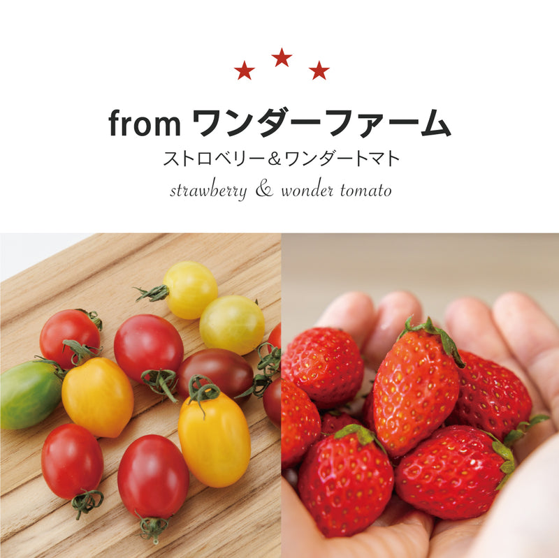 ストロベリー＆ワンダートマト【6個】無添加ジェラート