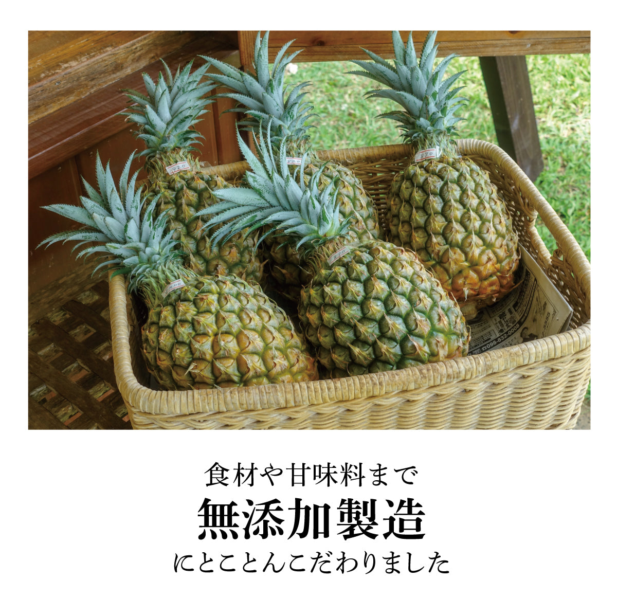 沖縄パイン×バジル【6個】無添加ジェラート