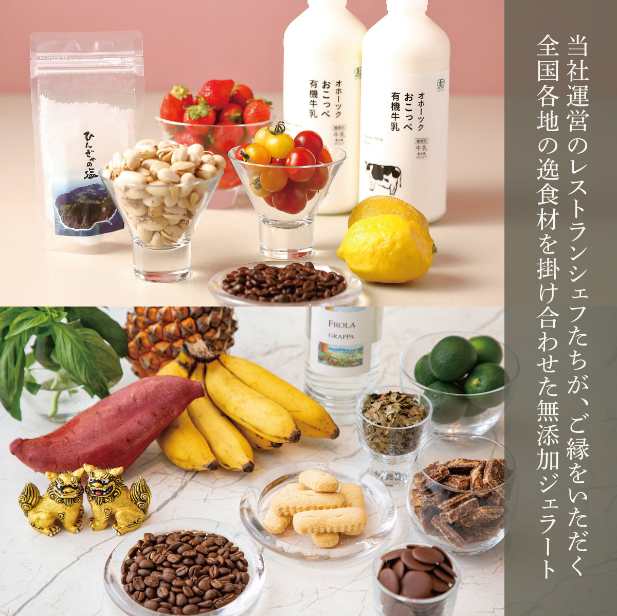 [eギフト] 無添加ジェラート 12種盛合せ