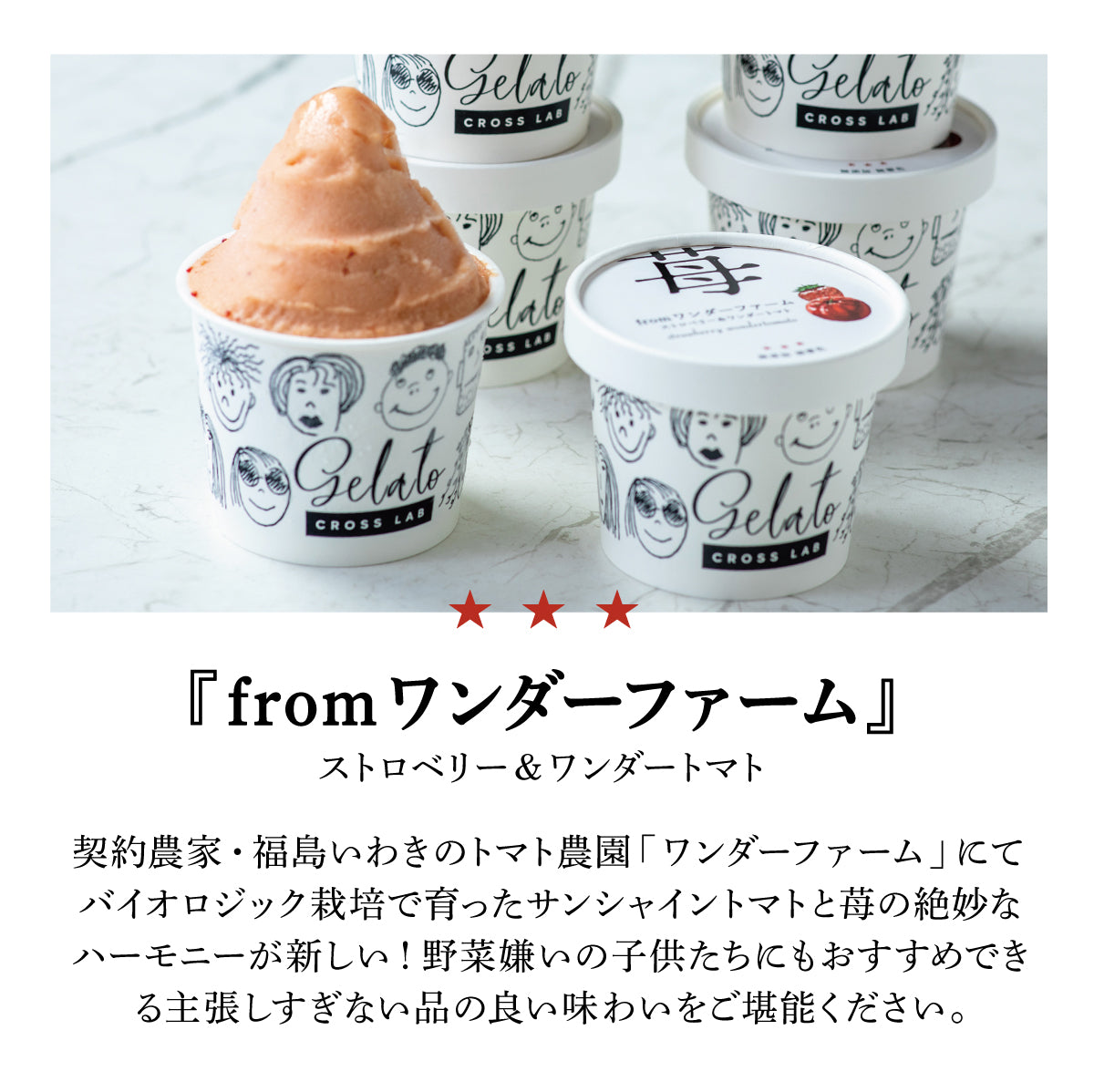 [eギフト] 無添加ジェラート 12種盛合せ
