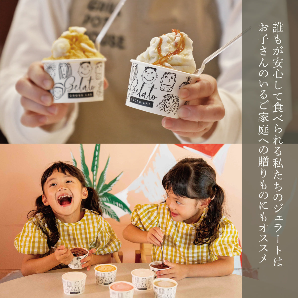 [eギフト] 無添加ジェラート 12種盛合せ