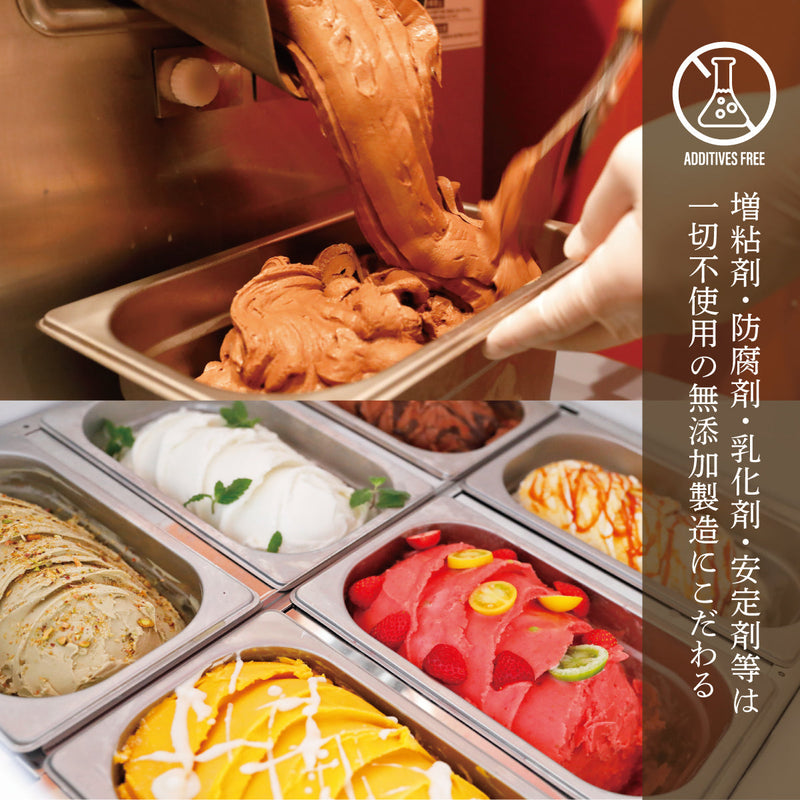 チョコ＆カフェドルチェ【6個】無添加ジェラート